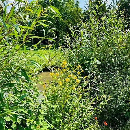 11 Proche Centre Avec Wifi Parking